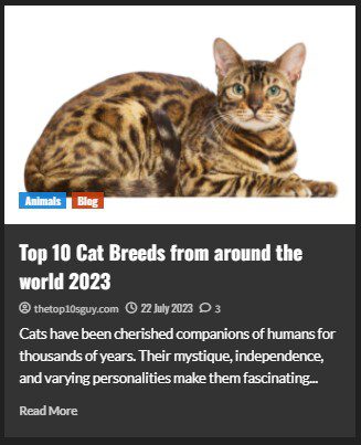 Top 10 Cat Breeds from around the world 2023