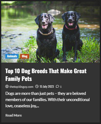 Top 10 Dog Breeds That Make Great Family Pets