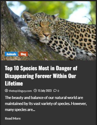 Top 10 Species Most in Danger of Disappearing Forever Within Our Lifetime