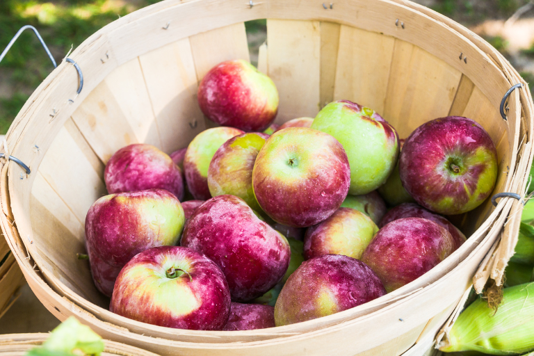 The Name Macintosh Comes from an Apple Variety