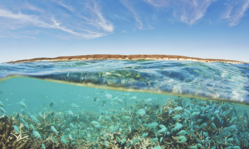 Ningaloo Reef, Western Australia