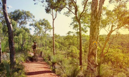 Munda Biddi Trail (Australia)
