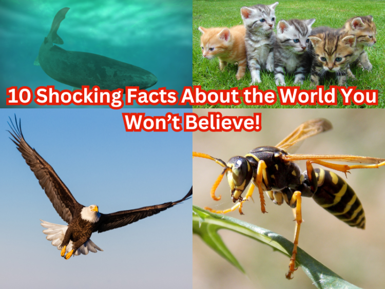 Shocking Facts About the World You Won’t Believe!